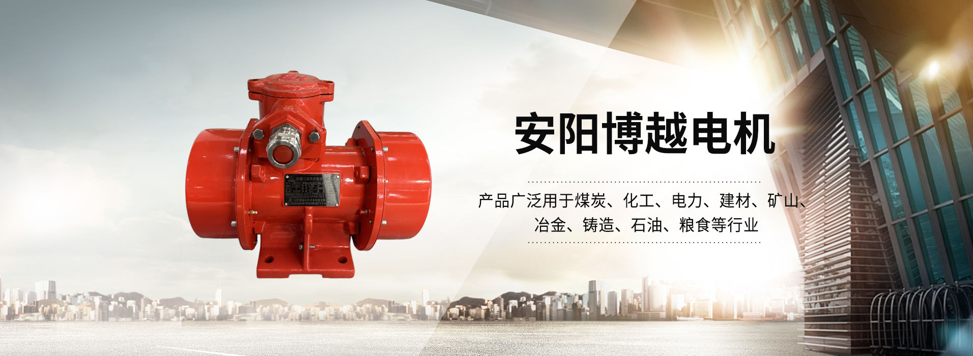 防爆振动电机,矿用振动电机,立式防爆振动电机